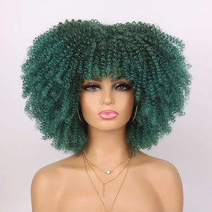 Open image in slideshow, Rorange Synthetic Short Curly Wigs for Black Women Afro Wig With Bangs Short Afro Kinky Curly Wig for Daily Party Wear
